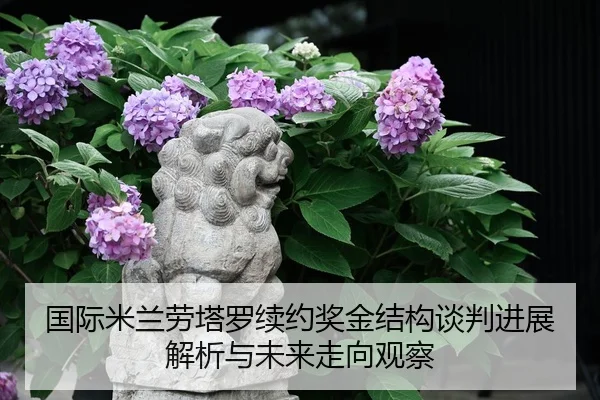 国际米兰劳塔罗续约奖金结构谈判进展解析与未来走向观察