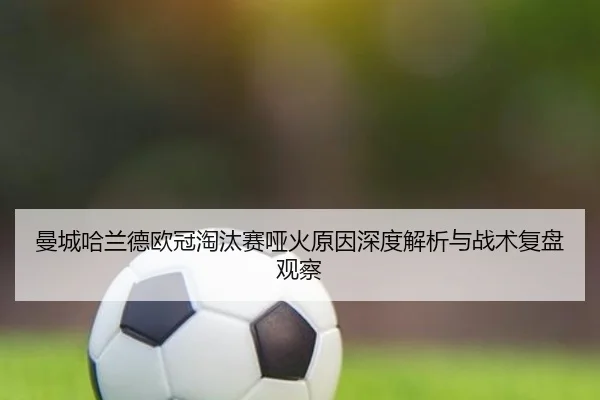 man-cheng-ha-lan-de-ou-guan-tao-tai-sai-ya-huo-yuan-yin-shen-du-jie-xi-yu-zhan-shu-fu-pan-guan-cha-2-139.jpg